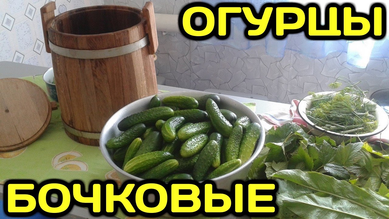 Огурцы в дубовой кадке. Огурцы в бочке. Соленые огурцы в бочке. Соленые огурцы в бочках. Бочка с огурцами.