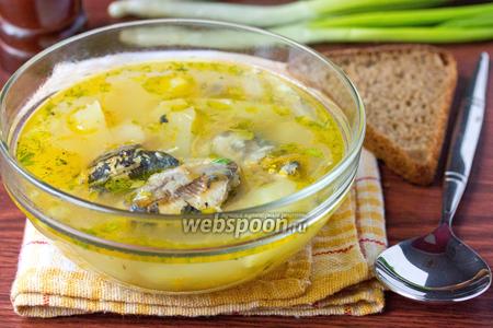 Фото рецепта Суп с консервами «Сардины в масле»
