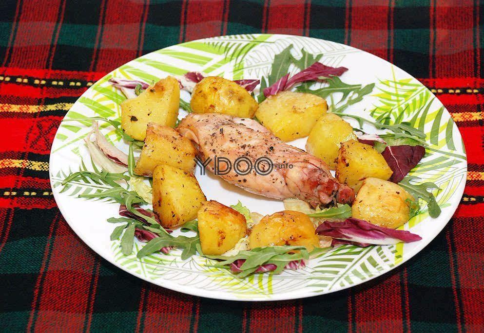 тарелка с запеченным мясом кролика и запеченными кусочками картофеля